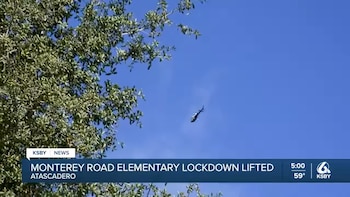 Vista de un helicóptero oscuro en un cielo azul claro, con follaje de árbol verde cubriendo parte superior e inferior izquierda