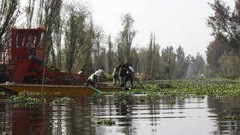 La FGJCDMX recuperó la Reserva