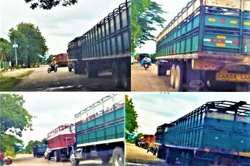 Los camiones, sin placas, que