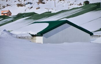 Para los Mapuches, en su