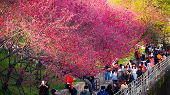 Un estudio taiwanés vincula aumento