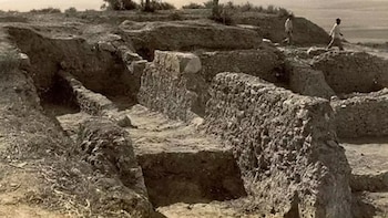 Asta regia, en Jerez (Museo