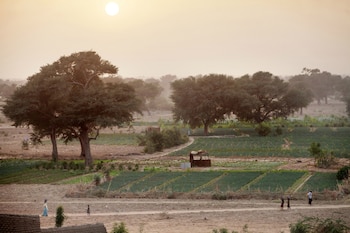 Solo un 18 por ciento del proyecto fue completado según la Unión Africana y la desertificación avanza entre 45 y 60 centímetros por año en la región (ONU)