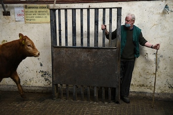Tocar al aire libre frente