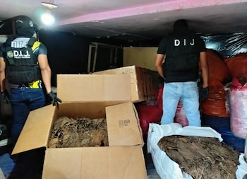 Dentro del inmueble se encontraron maquinarias e insumos destinados presuntamente a la elaboración de los puros. (PN)