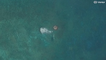 Imágenes satelitales detectan y luego pierden el rastro de una misteriosa estructura en el mar de China Meridional