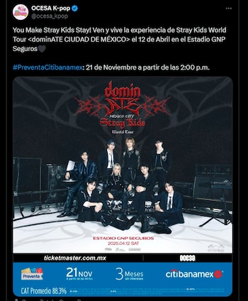 Stray Kids en México. (Captura