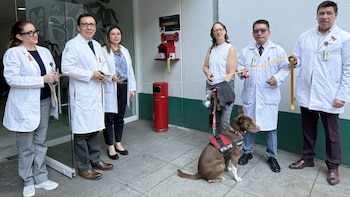 Pacientes con perros de asistencia