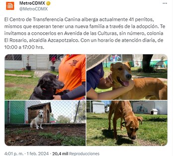 Perritos