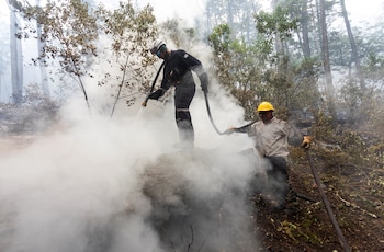 El incendio afectó a casi