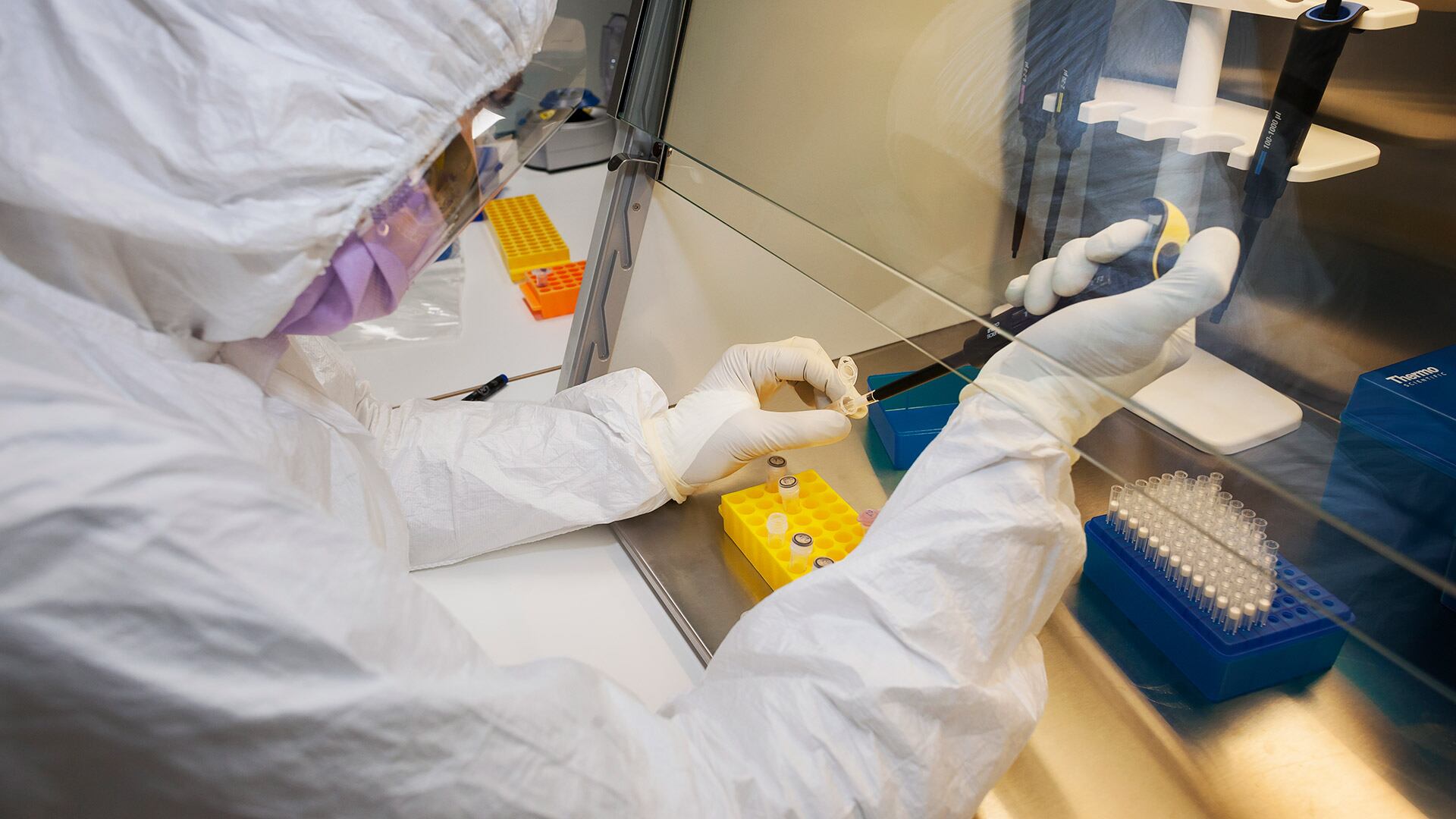 El hallazgo de microARN en los restos confirma la autenticidad del material genético y descarta contaminación con ADN moderno/J. Lasthein