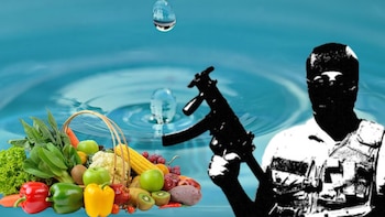 El crimen organizado en México