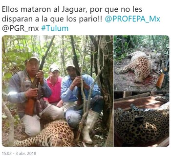 En redes sociales han alertado