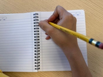 El bullying se manifiesta en