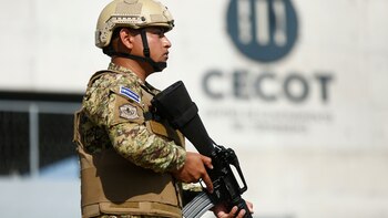 Más de 12 familias de