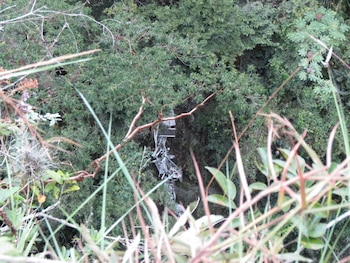 Socorristas encontraron los restos de