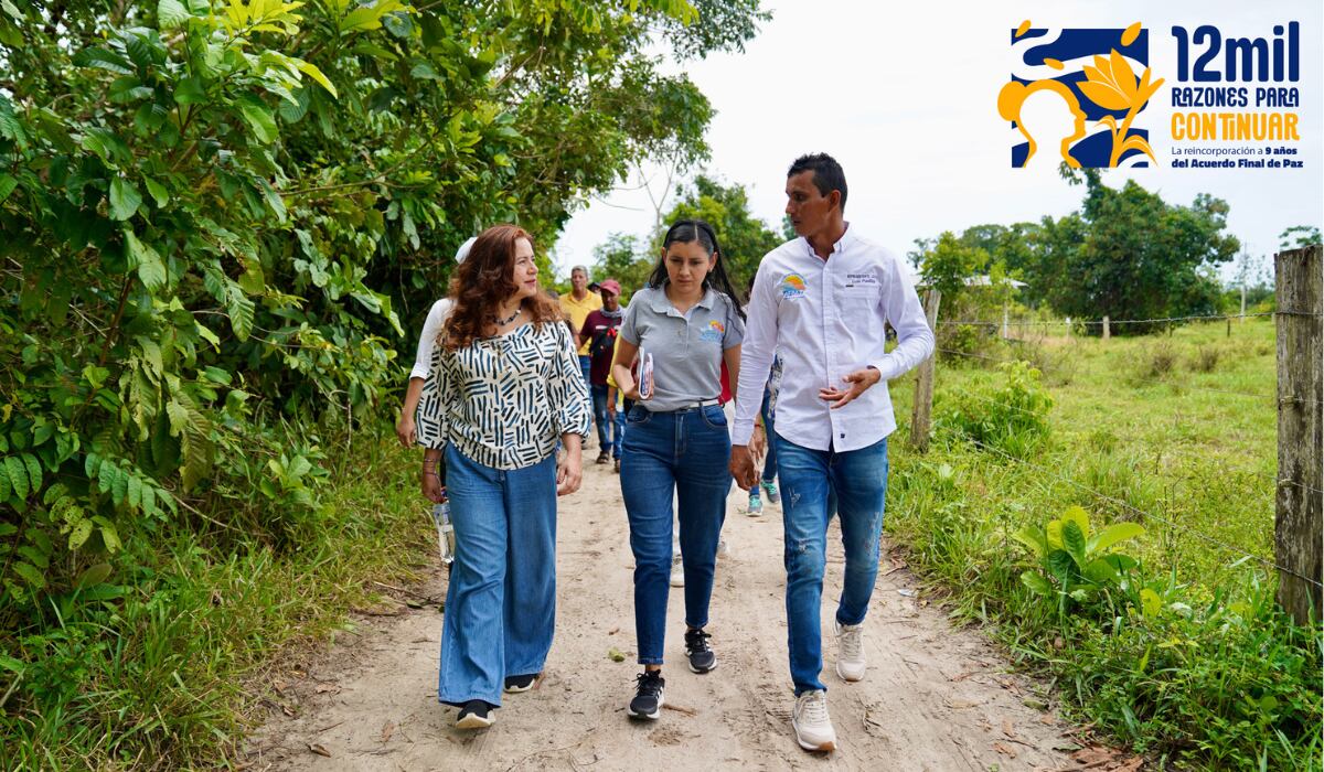 El evento aborda los retos pendientes de la reincorporación, como la estigmatización, la inseguridad, la inequidad y la desinformación. - (ARN)