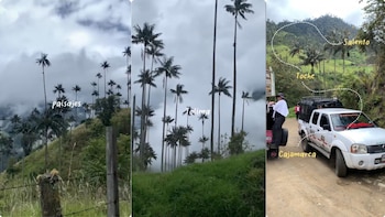 Creadora de contenido recomienda no