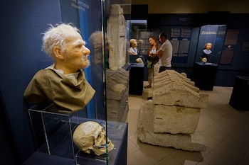 Busto de hombre con cabello y barba blancos, cráneo humano, dos visitantes, vitrinas con textos, busto de niño, cráneo de niño, piezas de piedra tallada
