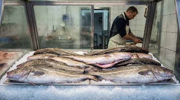 Varios peces bacalao enteros expuestos sobre hielo picado dentro de un mostrador de cristal en una pescadería con un hombre al fondo.