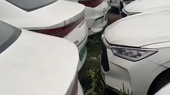 Los autos son todos de