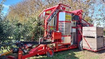 La mecanización ayuda a disminuir