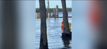 Troncos de palmeras, un cono naranja y postes de madera sumergidos parcialmente en agua junto a una costa con árboles al fondo
