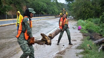 Sedena anuncia reapertura de accesos