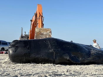 Las autoridades acordonan el área