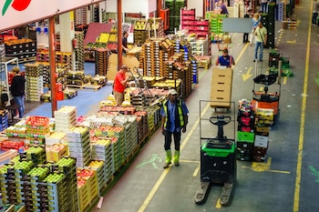 De acuerdo con el estudio, el crecimiento del empleo continúa concentrándose en las grandes áreas metropolitanas y en territorios donde convergen la actividad logística, el turismo y la distribución (Foto: Shutterstock)