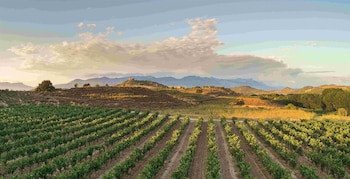 Imagen Y2HNJPABIBHZNBY5J6P5NH5GNE