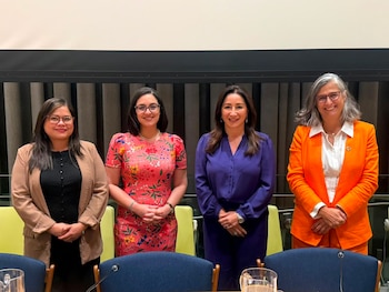 Michelle Sol pidió a la comunidad internacional, organismos multilaterales y al sector financiero que sitúen el financiamiento de la vivienda en el centro de la agenda internacional./ (Redes Michelle Sol)