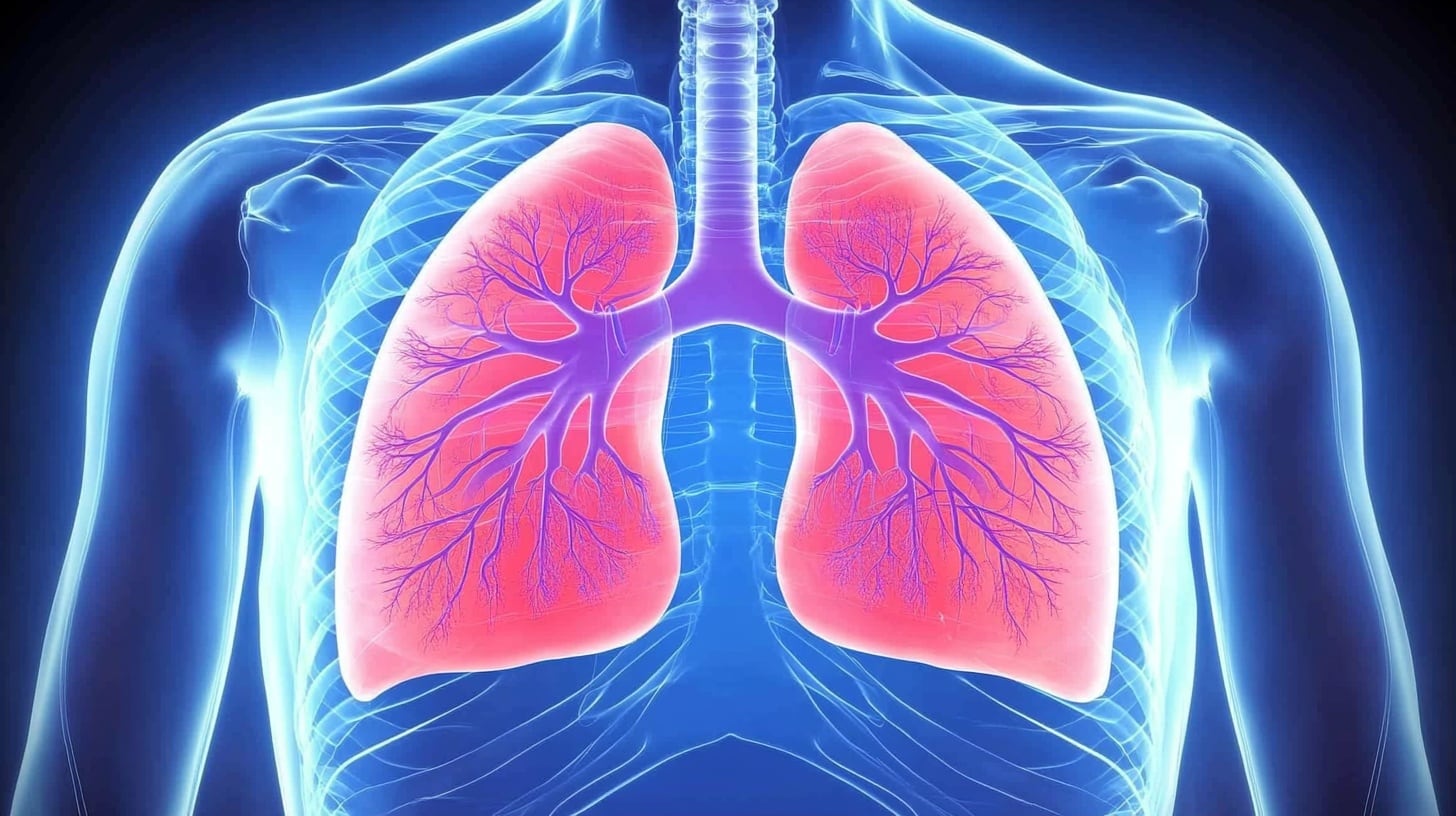 Los síntomas más frecuentes del hantavirus fueron fiebre, mialgias, cefalea, náuseas, disnea, vómitos, tos y diarrea, según el BEN (Imagen Ilustrativa Infobae)