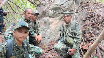 La figura sostiene una rama