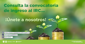 La convocatoria cierra el próximo