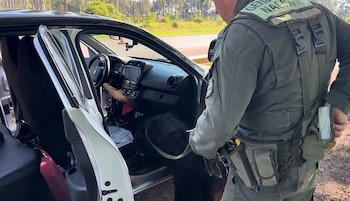 “Roque”, el perro antinarcóticos de Gendarmería, marcó la presencia de marihuana durante la inspección del vehículo
