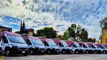 Licencia de conducir Edomex unidades