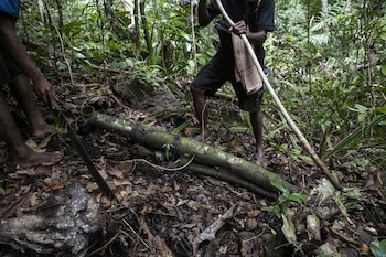 Habitantes locales guiaron a los