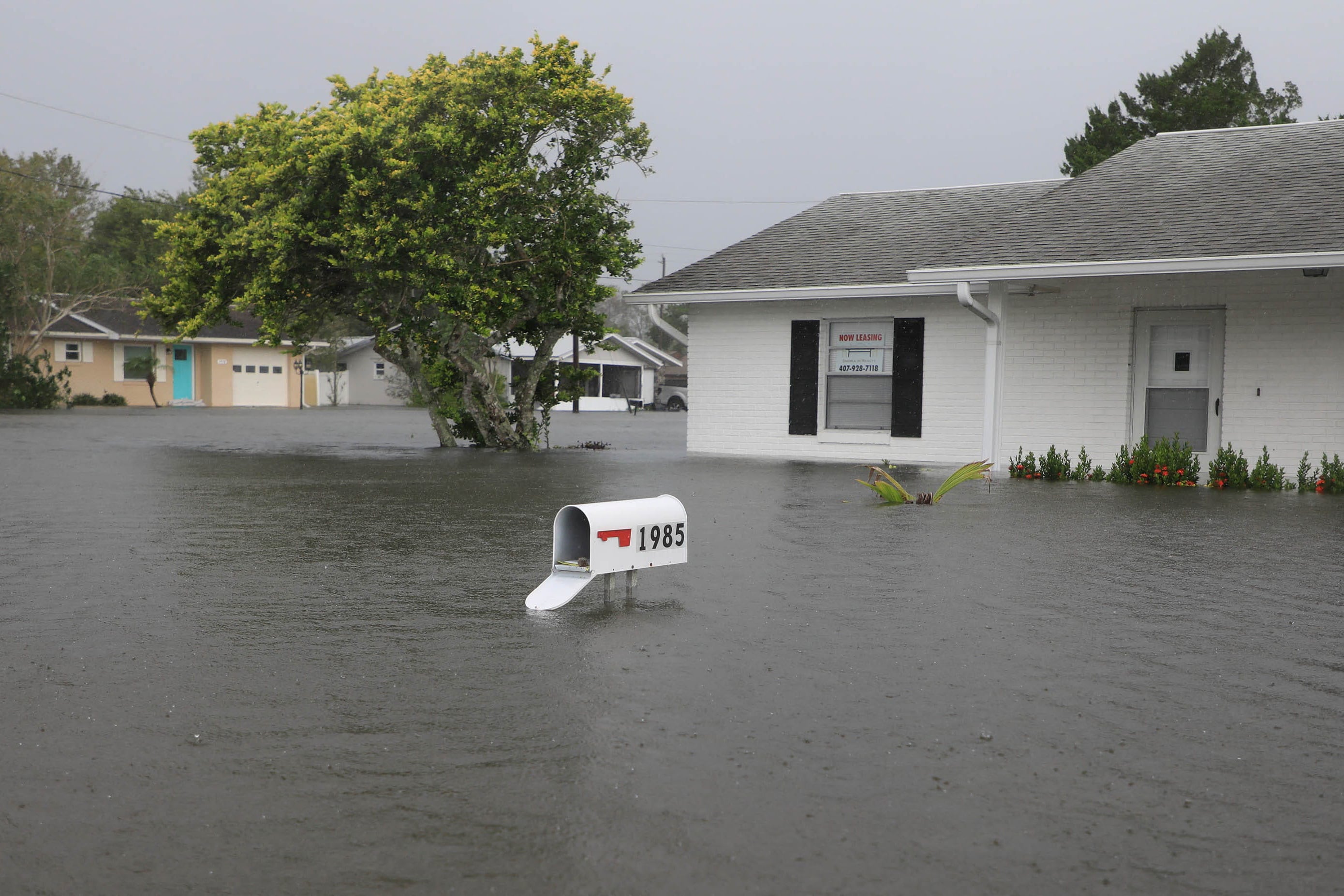 El seguro de vivienda estándar en Florida no cubre daños por inundaciones, por lo que se debe contratar una póliza específica (REUTERS)