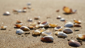 De la costa a sustituir