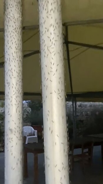 La baja concentración de oxígeno