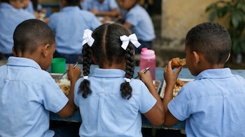 La educación pública concentra más del 83% del alumnado con discapacidad en República Dominicana