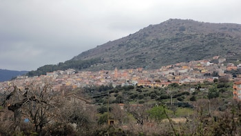 Casas de colores agrupadas en una ladera con una torre de iglesia en el centro y árboles sin hojas en primer plano