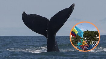 Sector bancario lanzó una propuesta