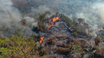 Incendios en Colombia EN VIVO: Ministerio de Ambiente prohibió temporalmente quemas mineras y agrícolas