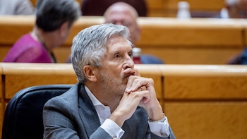 Vox pide la comparecencia en el Senado de Marlaska, la directora de la Guardia Civil y el DAO de la Policía