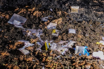 Sustancias prohibidas y empaques incautados, reunidos para su destrucción en cumplimiento de la normativa antidrogas nacional (Cortesía: FGR).