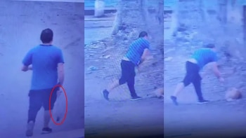 Golpeó a un perro con una barra de hierro en Neuquén y ahora deberá hacer una reparación económica y trabajo comunitario
