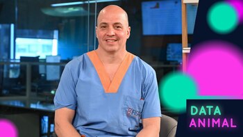 Displasia de cadera en perros: