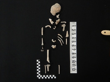 Los estudios ayudarán a comprender aspectos relacionados con la cosmovisión en torno a la muerte y la organización social de las poblaciones mayas prehispánicas. Foto Julián del Castillo